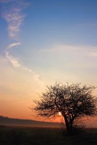 Почапи з panoramio.com