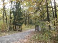 Дзензелівка з panoramio.com - Дзензелівка