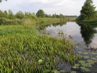 Бучин з panoramio.com