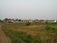 Прямобалка з panoramio.com