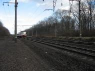 Триліси з panoramio.com