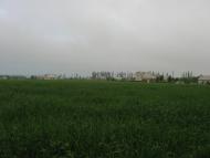 Губник з panoramio.com