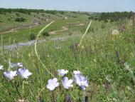 Nyzhnya Khortytsya - Latest photos