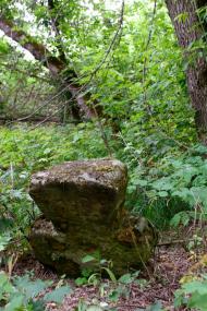 Пшеничники з panoramio.com