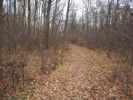 Гатне з panoramio.com