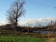 Корюківка з panoramio.com