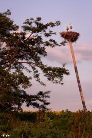 Раухівка з panoramio.com