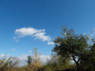 Тарноруда з panoramio.com