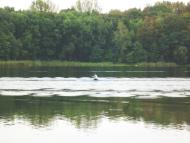 Малечковичі з panoramio.com