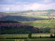 Нагоряни з panoramio.com