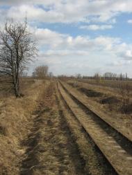 Триліси з panoramio.com