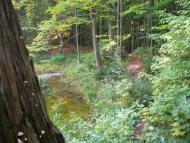 Прокурава з panoramio.com