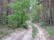 Старі Петрівці з panoramio.com