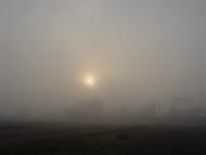 Конюхів з panoramio.com