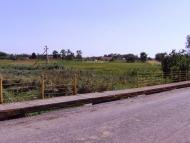 Соснівка з panoramio.com