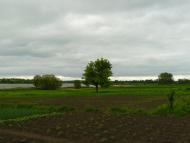 Лосятин з panoramio.com