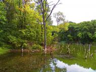 Саурівка з panoramio.com