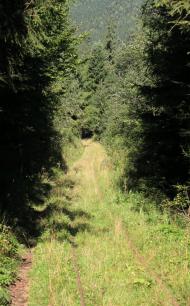 Вишків з panoramio.com