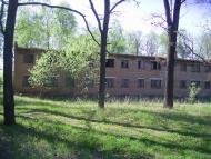 Шевченкове з panoramio.com