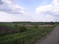 Райське з panoramio.com