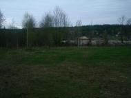 Здвижівка з panoramio.com