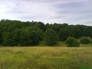 Чернин з panoramio.com