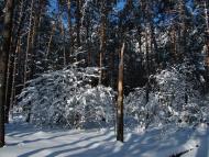 Авдіївка з panoramio.com