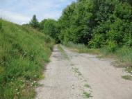 Саранчине з panoramio.com