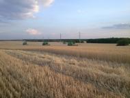 Хрящувате з panoramio.com