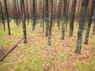 Будилівка - Останні фото