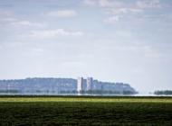 Пичугине з panoramio.com