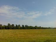 Ємці з panoramio.com