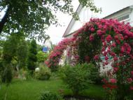 Жовтневе з panoramio.com