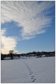 Бабанка з panoramio.com