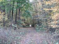 Дзензелівка з panoramio.com - Дзензелевка