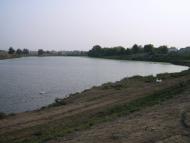 Прямобалка з panoramio.com