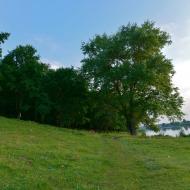 Королівка з panoramio.com