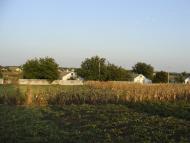 Кудашівка з panoramio.com