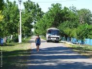 Рози Люксембург з panoramio.com