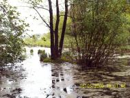 Чернин з panoramio.com