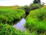 Чудля з panoramio.com