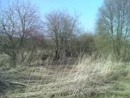 Темногайці з panoramio.com