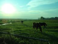 Білосток з panoramio.com