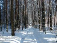 Авдіївка з panoramio.com