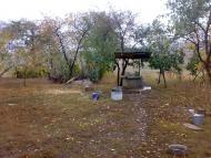 Негринці з panoramio.com