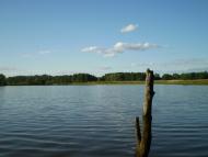 Жеведь з panoramio.com