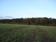 Дзензелівка з panoramio.com - Дзензелевка