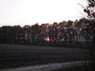 Кищенці з panoramio.com