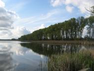 Любимівка з panoramio.com