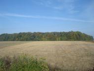 Дубівка з panoramio.com